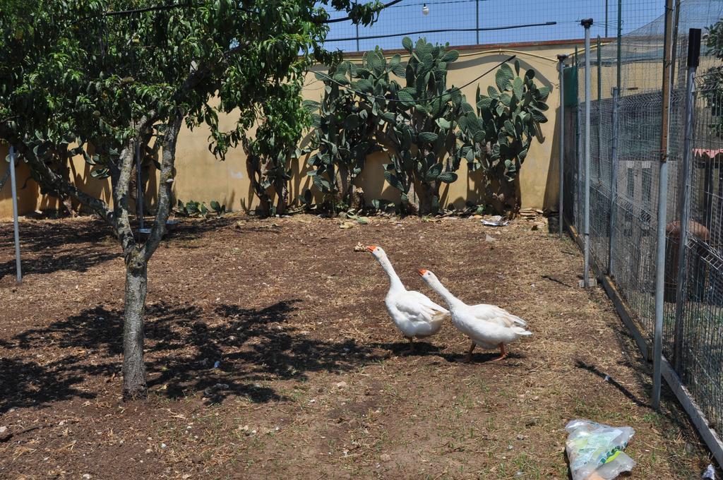 Bed & Breakfast Giardini Di Marzo Lecce Ngoại thất bức ảnh